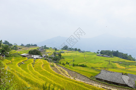 准备种植稻田越南北部河江省HuyenHoangSuPhiHuyenPhiHaGiang省BanPhungHuyenPhi图片