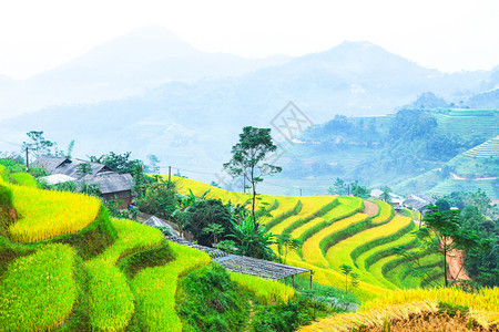 田地准备种植大米越南北部河江省HuyenHoangSuPhi的BanLuocHuyenPhi图片