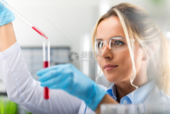 年轻有吸引力的女科学家身戴保护眼镜和手套的年轻有吸引力女科学家将红色液体物质丢入试验管在科学化实验室内用长玻璃管子扔入试验图片
