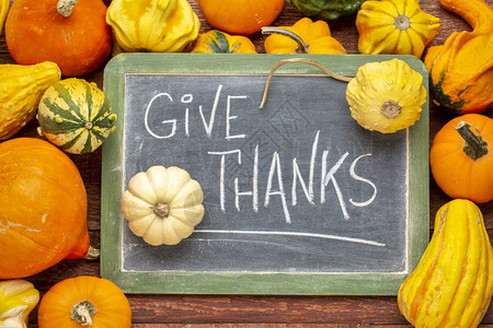 感恩节的用白粉在黑板上的话语环绕着冬季壁球和瓜子图片