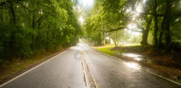 路面湿因为南部农业生产地貌的南部农业在路上下雨图片