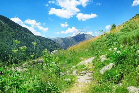 有绿草和鲜花的山地景观安道尔比利牛斯图片