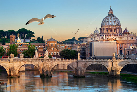 鸟类飞越梵蒂冈附近的贝尔河和意大利埃马努第二维托里奥埃马努第二桥图片