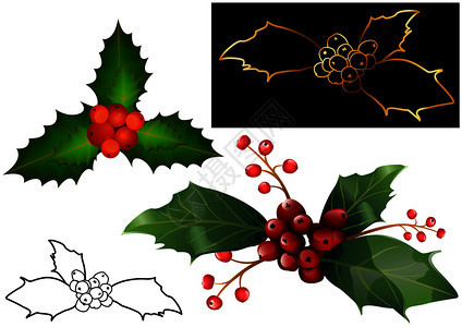 圣诞果树和叶图片