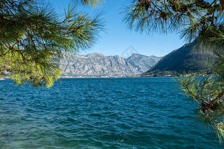 科托尔湾海景全夏季黑山图片