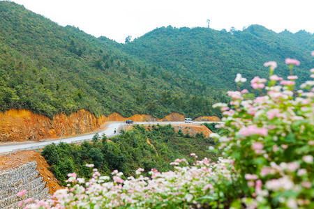 越南河江哈是越南最北部的一个省份图片