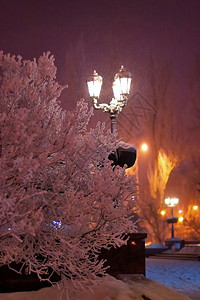 寒冬夜图片
