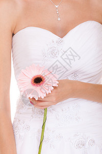 穿着白色婚纱的新娘紧贴着粉红色的雪贝拉菊花白背景的年轻女孩被孤立图片