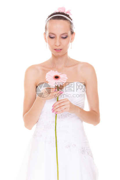 穿着白色婚纱的迷人美丽新娘穿着白色婚纱盛粉红色的格贝拉花朵美丽的年轻女孩与白色背景隔绝在一起图片