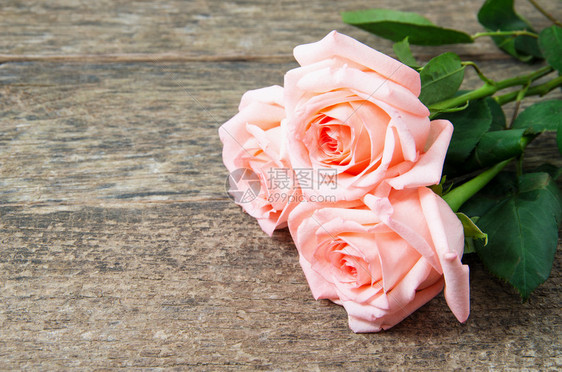 木桌上的粉红玫瑰图片
