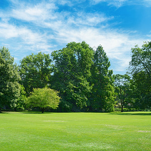 夏季公园里有绿草的坪图片