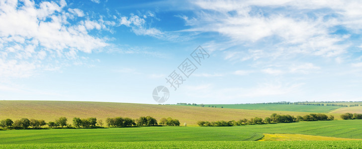 绿春玉米田和蓝天空复制间图片