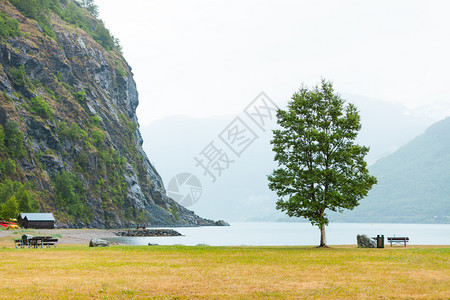 在欧洲弗拉姆挪威Fjord山附近的平面板和长凳雾日挪威fjord附近的平面板和长凳挪威Fjord附近的平面板和长椅图片