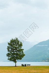 在欧洲弗拉姆挪威Fjord山附近的平面板和长凳雾日挪威fjord附近的平面板和长凳挪威Fjord附近的平面板和长椅图片