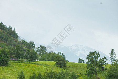 挪威远足区夏季风景优美的山地观由雾的雨天形成挪威雾的山地景观图片