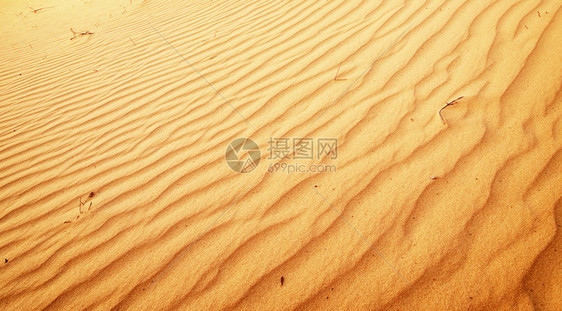 沙质自然组成图片