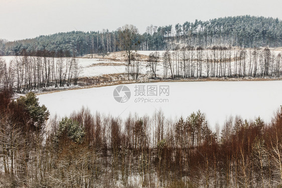 冬季和节特有山地树木覆盖着白新雪图片