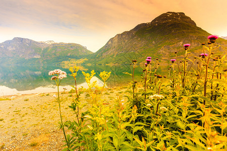 旅游度假和行Jostedalsbreen公园Oppstryn施特林SognogFjordane县挪威斯堪的纳维亚挪威山和fjor图片
