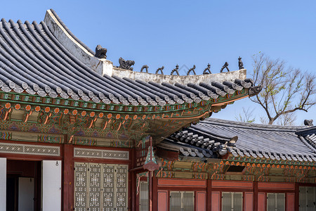 韩国首尔庆博京宫图片