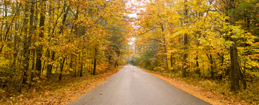 冬季即将到来农村公路在树木间行走游颜色明亮图片
