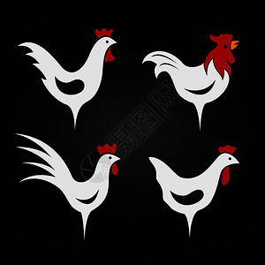 羊鸡黑背景鸡设计的矢量图像插画