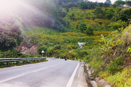 越南乡村的Dalat是旅游城市有着美景村野花图片