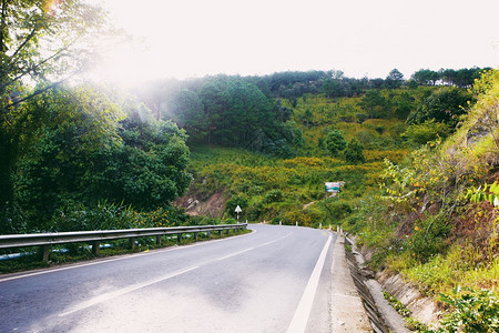 越南乡村的Dalat是旅游城市有着美景村野花图片