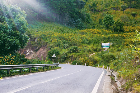 越南乡村的Dalat是旅游城市有着美景村野花图片