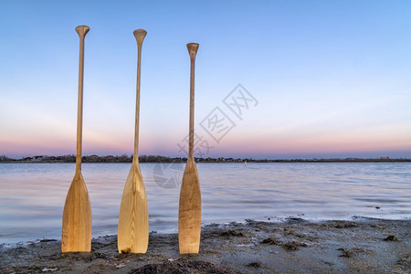 黄昏时在湖岸三木独舟桨图片
