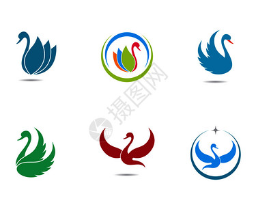 丝绸背景广告swan标识模板矢量图插设计插画