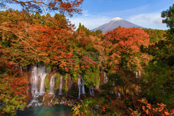 瀑布秋季叶落藤山在桥川口附近蓝天背景的日本树图片