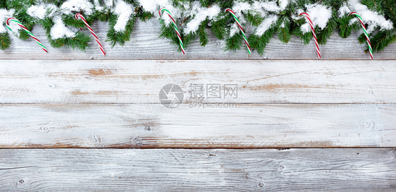 雪的顶端边界覆盖了圣诞长青树枝和白年木上的糖果甘蔗图片