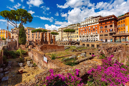 LargodiTorreArgentina罗马古迹靠近JuliusCaesar被杀地点的罗马古迹也是意大利罗马的一群猫家园图片