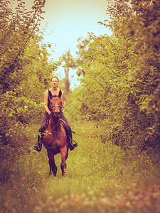 年轻女人在阳光明媚的春日上骑马年轻女人图片