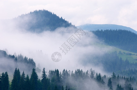 山雾自然构成图片