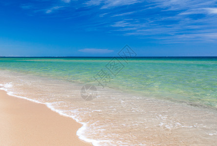 热带海滩的景阳光明媚的天空夏季堂海滩图片