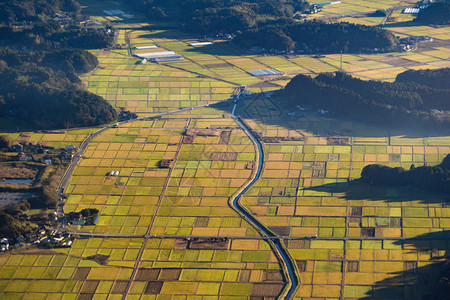 春季日本农村田的空中景象农村地区稻田形态自然质地背景图片