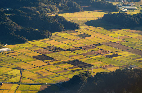 春季日本农村田的空中景象农村地区稻田形态自然质地背景图片