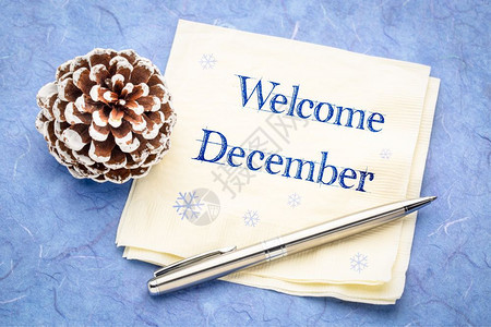 欢迎十二月手写在餐巾纸上的笔迹面有冰冻松果图片