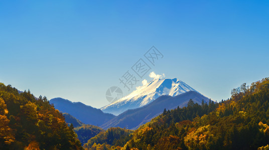 秋季的叶和藤山在桥川口附近图片