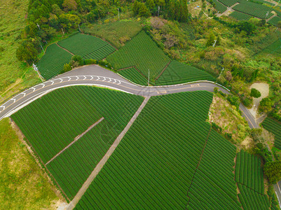 秋季静冈Shizuoka水稻田的空中景象绿色农村地区或日本山丘上的农村土地图片