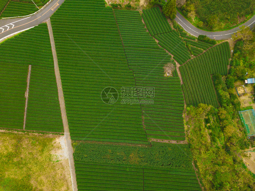 秋季静冈Shizuoka水稻田的空中景象绿色农村地区或日本山丘上的农村土地图片