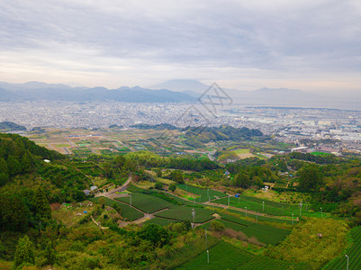 秋季静冈Shizuoka水稻田的空中景象绿色农村地区或日本山丘上的农村土地图片