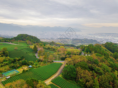 秋季静冈Shizuoka水稻田的空中景象绿色农村地区或日本山丘上的农村土地图片