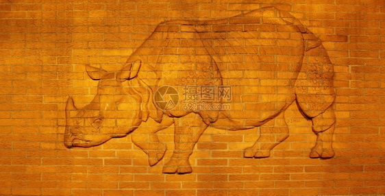 柏林动物园墙壁上的Rhinobas救济壁画艺术图片