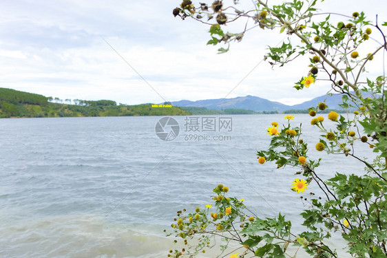 双浩旅游区生态与大湖松林周围绿地新鲜空气人们在越南GiaLai比恩霍池塘划船图片