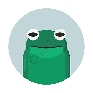 脊椎动物青蛙插画