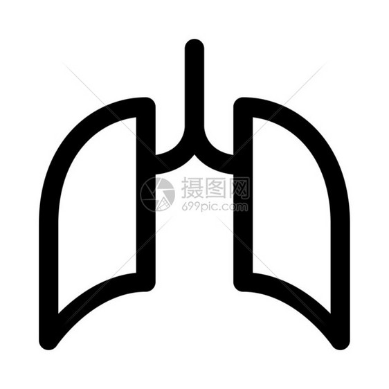 肺部呼吸器官图片