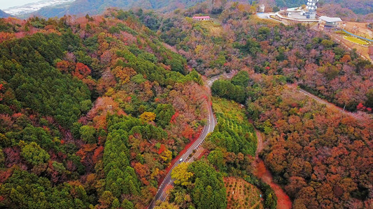 秋天红叶的空中景象日本山上的树木绿色农村地区或土自然景观背图片