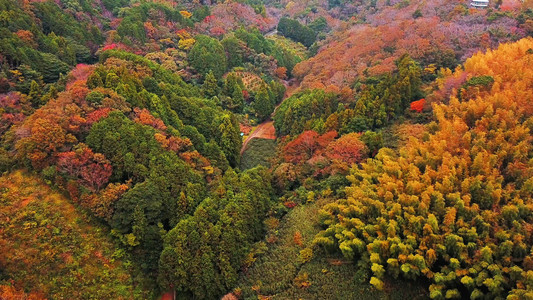 秋天花园风景高清图片